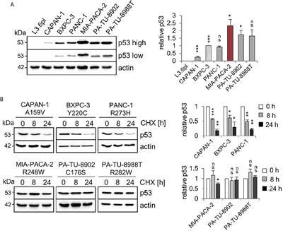 The Gain-of-Function p53 R248W Mutant Promotes Migration by STAT3 Deregulation in Human Pancreatic Cancer Cells